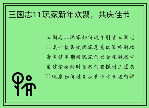三国志11玩家新年欢聚，共庆佳节